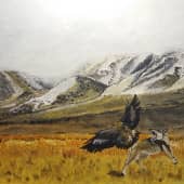 Охота на волка с Беркутом.