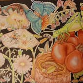 Мир под ногами