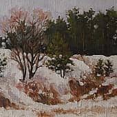 Фефелов бор зимой