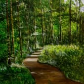 Тропинка в лес