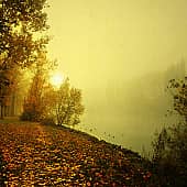 Туманные берега