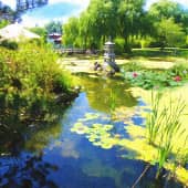 С китайской экзотикой