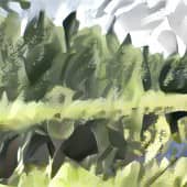 Лес у запруды