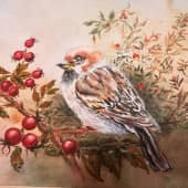 Воробей,который улетел в Ленинград