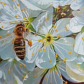 Тёплый апрель.