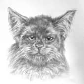 Поговори со мной