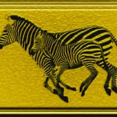 Животные 030