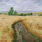 Дорога во ржи