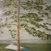 Вид на Вилюй, 2002