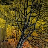 Воронье царство