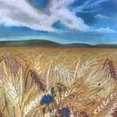 Ставропольские нивы