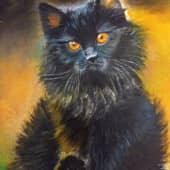 Черный котик