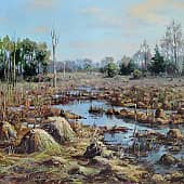 Кочкарник (этюд)