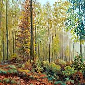 Утренний лес