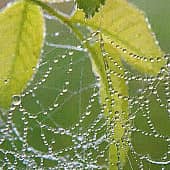 ожерелье осени