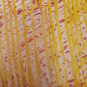 Берёзы - 2023-1