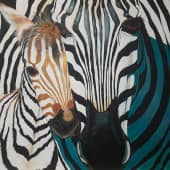 Зебры: Свет и Тень.