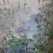 Кувшинки в Павловском парке