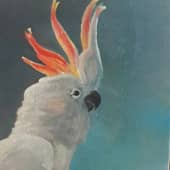 "Какаду Иннокентий"