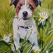 Ромашка на день рождения