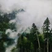 ЮЖНЫЙ СКЛОН АИБГА. СОЧИ