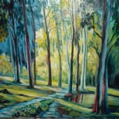 Лучи солнца в лесу.