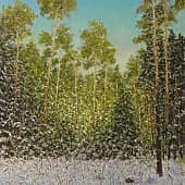 В хвойном лесу