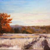 Первый иней