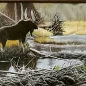 Лось в брачный сезон