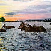 "На закате дня" по фото замечательного Астраханского фотографа С.Цыбизова