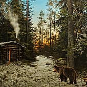 Незванные гости