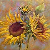 В ожидании солнца