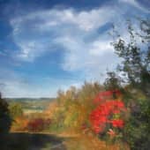 Дорога в осень.2