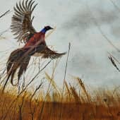 На взлёте...