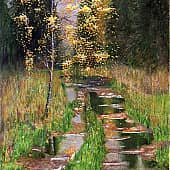 Дождь уже перестал