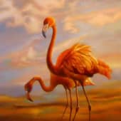 Птица Краснокрыл