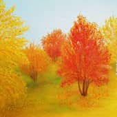 Погожий осенний день