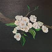 Грушевый цвет