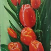 Тюльпаны в росе