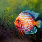 Король аквариума