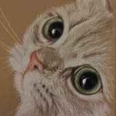 Неужели бутерброд целиком отправит в рот?