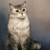 Кошечка Бася