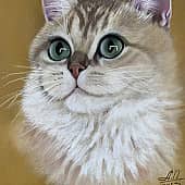 Кошечка Зося