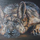 Преданный друг