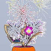 прохладный