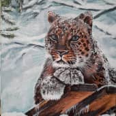 Моя большая любовь - леопард Герд.