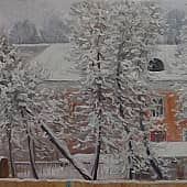 Зима пришла Вид из окна.