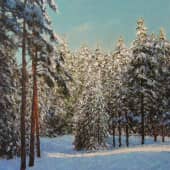 "Место лыжной прогулки"