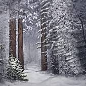 Тропинка в сказку