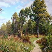 Ветренный день